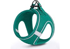 HEELE Hundsele för Hundar Liten Air Mesh Sele för Små hundar, Gräsgrön, 2XS | Anti Pull Sele Mesh Reflekterande Andningsbar Säker Kontroll Valp Sele Väst Hundbröstsele för Promenader, Löpning, Träning