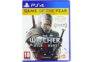BANDAI NAMCO The Witcher 3 : Wild Hunt - édition jeu de l'année