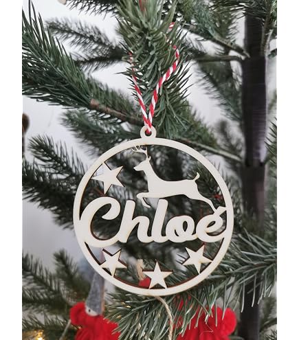 Boule De Noël Personnalisable Avec Nom De Chien/chat | Décoration En Contreplaqué 10 Cm, Gravée Sur Mesure, Pour Sapin
