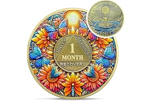 IELCJJ Zarte Sonnenblume 1 Monat Nüchternheitsmünze – Ein Tag nach dem anderen 30 Tage AA Nüchternheits-Chip – Recovery Butterfly NA AA Chips und Medaillons – 1–40 Jahre Living Clean Alcoholics Anonyme