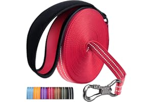 X XBEN Schleppleine für Hunde,10M Lang Robuste Hundeleine mit Abschließbarer Karabiner, Reflektierend Laufleine Trainingsleine für Kleine Mittlere Große Hunde, Bequem Handschlaufe