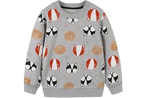 Koonde Boys Dinosaur Jumper Cotton Top Truck Sweatshirt Long Sleeve Tee for Kids Toddler Clothes 1.5-7 years