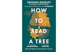 How to Read a Tree: A must-have for all nature lovers - perfect reading for your winter adventures