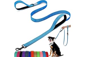 ATETEO Dog Lead - With Two Padded Handles, Two Dog Leads Modes,Double-Sided Reflective Nylon Dog Leash for Training&Walking Perfect for Medium Dogs