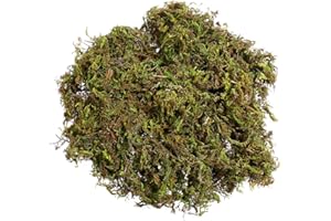 DECHOUS Fake Moss, Artificial Moss for Indoor Plants 60g Faux Moss Green Moss Decorative Artificial Moss Plants Pots Fake Moss for Crafting Indoor Outdoor Plant