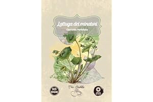 GENERICO lattuga dei minatori,portulaca,claytonia perfoliata,semi rari,semi strani,orto strabilia
