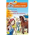 Mississippi, un cavallo da salvare