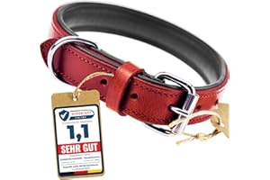 Schnüffelfreunde Obroża skórzana dla psa I Obroża dla psów ze skóry (XL - 46-55cm, Czerwony)