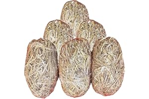 HEIST STORE LIMITED Barley Straw For Ponds 6 Pack - Barley Straw Treatment - Extract And Treat Blanket Weed - Environmentally Friendly - From Straw Bale - Best Value For Money - Heist Store Ltd