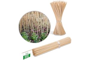 Novatool 500 varillas de 80 cm x 6,5 mm I Naturaleza I Varillas para plantas de bambú para enrejado de madera para troncos de madera