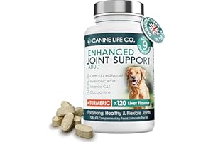CANINE LIFE CO. Enhanced Adult Dog Joint Supplements With Turmeric, Glucosamine & Green Lipped Mussel | 120 Chewable Tablets | Made In The UK (1 Pot (120 Tablets))