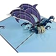 Dolphin Pop Up Card by DEVINE Cards | 3D Birthday Greeting Cards for Women Kids Girl Daughter Granddaughter