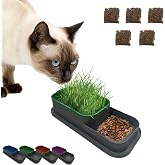 MADPET Topraksız Kedi &Ccedil;imi Kabı Mor &ndash; 5 Paket &Ccedil;im Tohumlu Hidroponik &Ccedil;im Yetiştirme Seti &ndash; Kediler i&ccedil;in Doğal &Ccedil;im Yetiştirme 