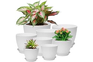 IDEALIFE Juego de macetas de plástico, 8 unidades, maceta con agujero, posavasos redondos, macetas pequeñas para cactus, ideal para oficina, balcón, jardín, suculentas, blanco cactus