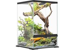 PawHut Terrario in vetro per rettili, 40 l, per lucertole, rane, serpenti, tartarughe, tartarughe, con ventilazione, 30 x 30 x 45 cm