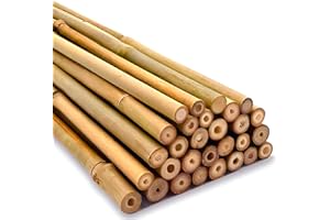 TRADEXONE Strong Heavy Duty Professional Bamboo Canes for Plant Support - Multiple Lengths 2ft - 8ft Garden Stakes, Durable Large Garden Canes Sturdy & Natural Bamboo Sticks for Plants Size (3ft, 10, 10-12mm)