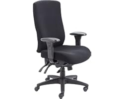 Office Hippo Ergonomic Office Chair with Arms, Desk Chair for Home Office, Heavy Duty, High Back Support, Swivel, Black