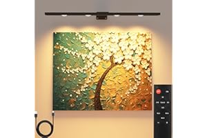 ARIXINKS Picture Light with Remote Control, Battery Operated, Wireless Painting Light, Art Light, 400 lm, Light for Picture Art with Remote Metal