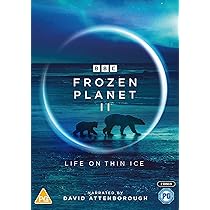David Attenborough: A Life on Our Planet [DVD] [2020]: Amazon.co