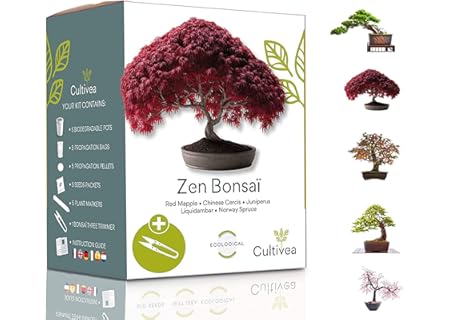 Cultivea® Mini - Odlingsfärdigt Bonsai Kit - Franska frön 100% ekologiskt - Trädgård och inredning - - Amazon Deal & Rabatt