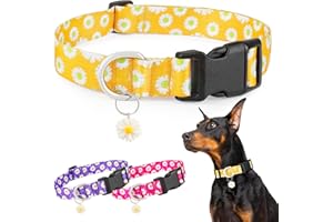 BiPawTi Urocza Obroża dla Psa Średniej Wielkości - Miękka, Regulowana z Zawieszką w Stokrotkę i Kwiatowym Wzorem Margerytów - Żółta, M