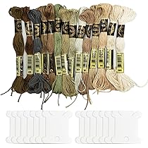 estcoo Filo da ricamo, Embroidery Kit 200 fili di colore e 30 fili in bianco e nero per ricamo punto croce, braccialetti brasiliani per il tempo libero creativo Kit Ricamo Strumenti Accessori