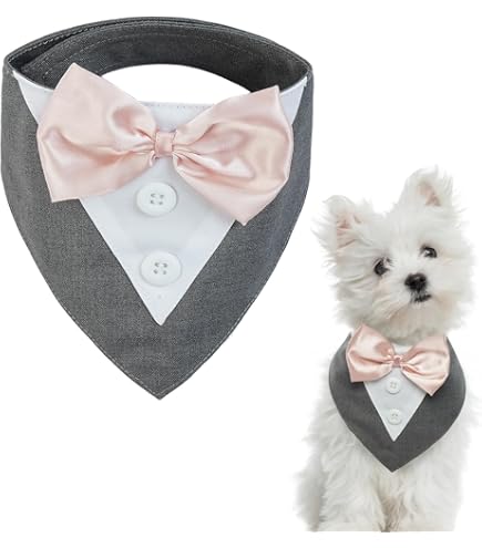 BT Bear Hunde Fliege - Smokinghalsband Für Haustiere Größe M