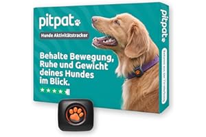 PitPat Aktivitäts & Fitness Tracker für Hunde (ohne GPS) – kein Aufladen oder Abo erforderlich – Geeignet für alle Hunde und Halsbänder – Intelligenter Haustier Aktivitätstracker – 100 % wasserdicht