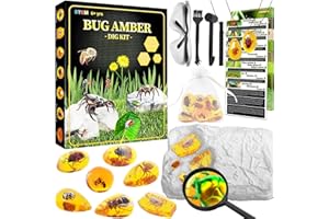 KUPITM6 Bernstein Ausgrabungsset für Kinder ab 6 7 8 9 10 11 12 Jahren, Fossilien Ausgrabungsset Kinder mit 7 Künstliche Insektenfossilien und Ausgrabungszubehör, Edelsteine Ausgraben für Jungen Mädchen