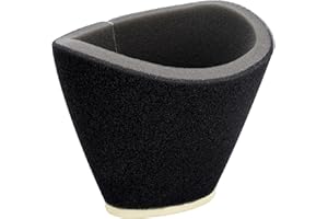 Yerbay Filtres à air pour Raptor 660 YFM660R 2002-2005 5LP-14451-01-00