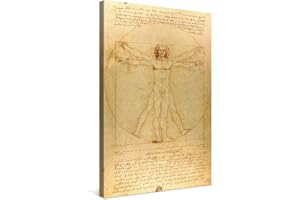PICANOVA – Leonardo da Vinci – Homme de Vitruve 40x60cm – Photo sur Toile – Impression sur Toile Haut de Gamme – Image sur Toile pour Décoration Murale Moderne – La Collection Art Classique