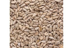 SUPERPET LTD Superpet Premium Sunflower Hearts For Wild Birds (5KG)