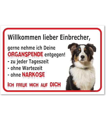 Warnschild 'Australian Shepherd Hund Im Garten' – Aluminium, 30,5x20cm, Wetterfest (A4 Format)