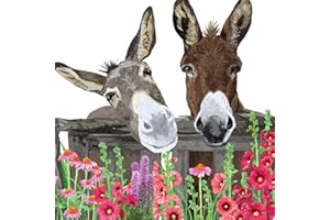 NOASR 20 serwetek dwa ciekawskie osły | zwierzęta | kwiaty | wiosna | lato 33 x 33 cm