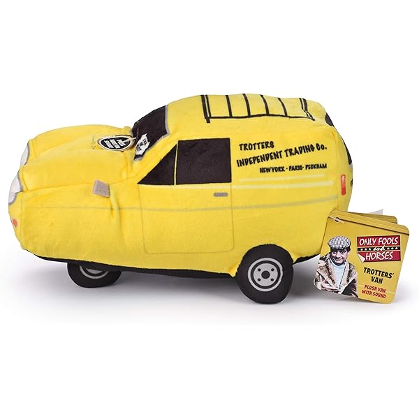 only fools and horses van