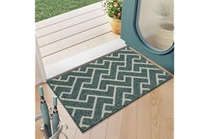 Biscpro Paillasson Intérieur Tapis Entrée Intérieur Extérieur Imperméable, Antidérapant, Absorbant, Tapis pour Entrée, Lavable, Cuisine, Salle de Bain (50 * 80 CM, Lake Blue)