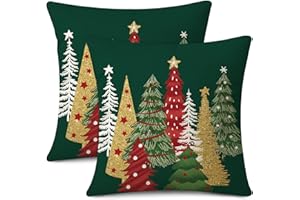 JOTOM Set di 2 federe per cuscini natalizie, 60 x 60 cm, decorative, per cuscini invernali, per decorare la casa, il divano, il divano (verde)