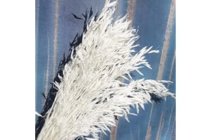 ‎ONING Getrocknete weiße Hafer Blumen - 40 Stiele 43 cm echte natürliche gebleichte Avena-Blumen-Weizenbündel für Hochzeitsdekoration, Flora Boho-Dekor, DIY-Heimarrangement