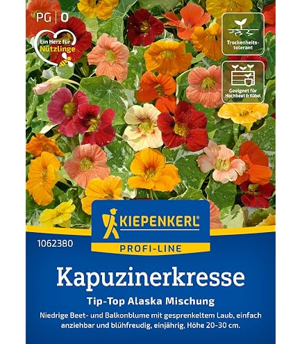 Bingenheimer Saatgut - Kapuzinerkresse - Blumen Saatgut / Samen :  Amazon.de: Garten