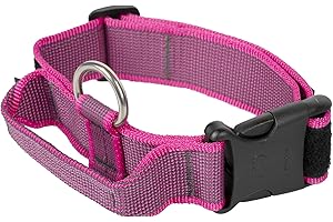 JULIUS-K9 Collar Color & Gray con la manija, la cerradura de seguridad y el remiendo intercambiables, 40 mm (38-53 cm), Rosa-Gris