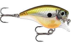Rapala BX Brat Leurre Square Bill avec Hameçons Deux No 6, 0.9m Profondeur de Nage