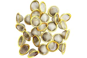 Fenny's Creations 12mm Pipe Screens Gauze Conical Steel Brass Filter Screen Bowl Mesh Metal Sieve (10)