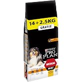 Pro Plan Medium Adult Tavuklu Yetişkin K&ouml;pek Maması 16,5 kg