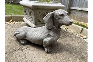 BURGESS HOME & GARDEN Statua in pietra bassotto in piedi | Decorazione per giardino all'aperto ricostituita per cuccioli di pietra