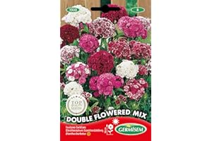 Germisem EC1535 Semi