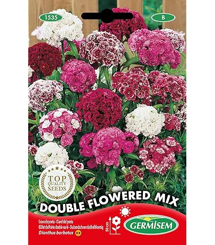 Semi Di Camomilla Matricaria Germisem - Confezione Da 1g Per Giardinaggio Domestico - Foto 7