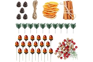 TSLBW 104 Stück Weihnachten Kranz Machen Zubehör Tannenzapfen Künstliche Beeren Zimtstangen Künstliche Tannenzweige Orangen Scheiben Eicheln Zubehör DIY Handwerk Weihnachten Dekoration (104Pcs)