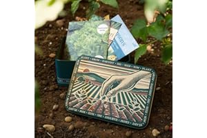 TINIT Seed Packet Storage Tin Organiser Gardening Gift Grandad Dad Present Plants Bulbs Flowers