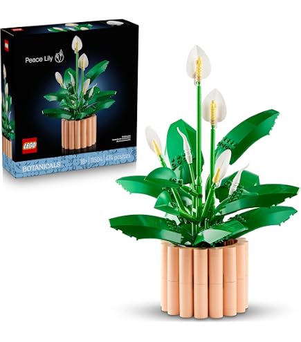 Lego Blumen 2er Set: 10281 Bonsai Baum & 10311 Orchidee | Botanical  Collection | Icons: Amazon.de: Spielzeug