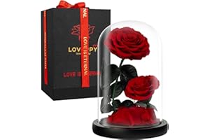 LOVAPPY Eternal Flower in a Glass Dome: Preserved Rose - The Perfect Infinity Forever Rose Gift for Her on Valentine's Day, Mother's Day, Birthday, Anniversary, Wedding, and Christmas (23 cm)